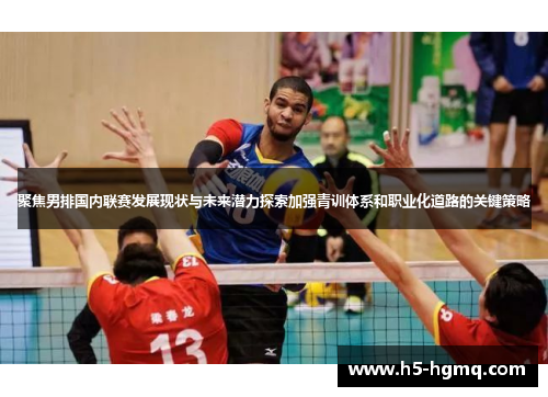 聚焦男排国内联赛发展现状与未来潜力探索加强青训体系和职业化道路的关键策略